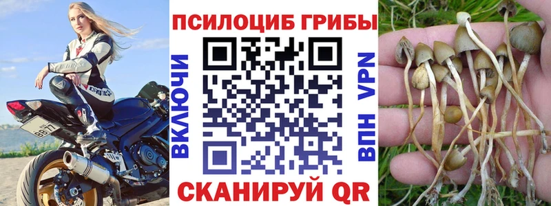Галлюциногенные грибы Magic Shrooms  ОМГ ОМГ   Саратов 